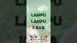 #youtube #yt #trend #trending #trendingshorts #fyp #viralvideo #shorts #shortvideo #mancing