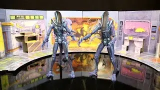 Neca Aliens Club 2017 2019 Exclusive Alien Action Figure Review & Comparison Alien Club Diorama