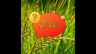 PSH Ask Me Anything Oct 19, 2024