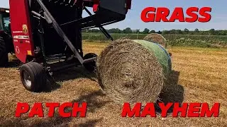 Grass Patch Troubles