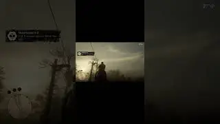 rdr 2 john marston dead eye killing birds #shorts