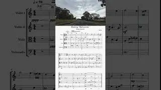Meeting Mallacoota  #stringquartet #musescore #composition