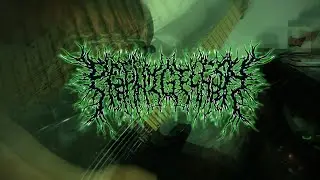pEeLinG fLeSh - PerC 3000 (Guitar Cover) 