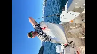 Chasing Sea Dragons and Big Butts!
