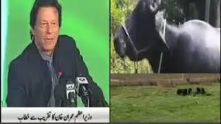 Imran Khan statement on Eggs and Chicken
