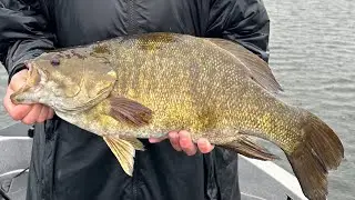Mille Lacs Lake Fishing Report (Mid-Summer Smallmouth Bass, Walleye, and Muskie)