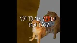 phonk vietsub meme | v&atilde;i t&ocirc; m&agrave; #memez #cheems #cheemsdog #meme #phonk Cre: @mei kae