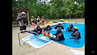 Bigfoot pool party