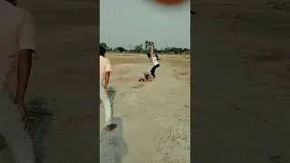 Pure Class 🔥💥 | Unbelievable Cricket Batting Skills 🏆👊 #CricketBatting #CricketGoals