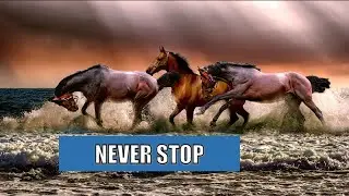 Never Stops your life race like horses-short clip 