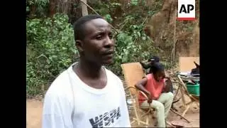 Sanctuary for bonobo apes in DRC