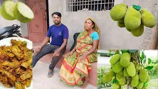SAS putoh milke kathal 😃😃 ka recipi tal ke banaae village lifestyle couple blog love marriage #vlog