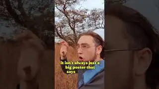 propaganda