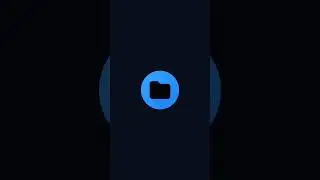 DraStic Storage Access On Android 11+