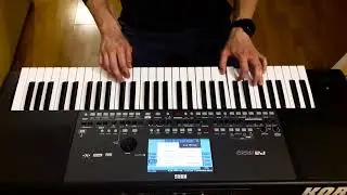 Ceca - Pogrešan broj (cover) KORG Pa600