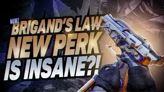 You Should Grind For Brigand's Law ASAP (God Roll Guide)