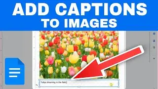 How to Add Captions to Images in Google Docs