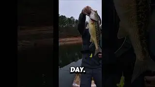 Big spotted a bass catch and release Lake Allatoona