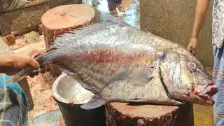 Amazing Fresh Trevally Fish Cutting Skills In Fish Market By Expert Fish Cutter 