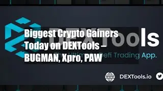 Biggest Crypto Gainers Today on DEXTools &ndash; BUGMAN, Xpro, PAW
