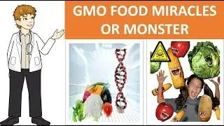 GMO FOOD/Genetically modified foods hazard and risk/#gmofood #foodsafety #hazard #risk