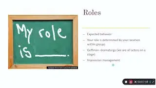 INTRODUCTION TO SOCIOLOGY LECTURE: GROUPS AND ORGANIZATIONS