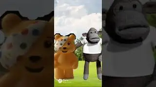 Pg tips monkey vs Pudsey