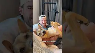 PUPPY TAKES FRIENDS SLEEPING SPOT
