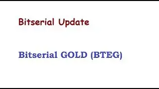 Bitserial update 29 november 2017 | Bitserial GOLD BTEG