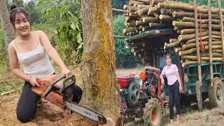 Full video of 165 days: Agricultural vehicles transporting timber to the timber factory.