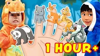 Wild Animals + Lion King Finger Family & More | Nursery Rhymes | DoReMi Kids Songs