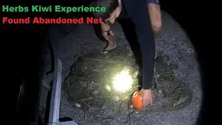 Long Line Catches Abandoned Net
