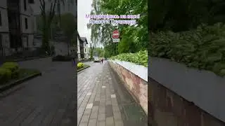 Не знав❤️що полюбиш ти мене#дякуюзсу #люблюукраїну дорогами Львівщини