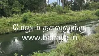 8 Acre land for sale in Seethapal,Thovalai Channel Road,Nagercoil,Kanyakumari district