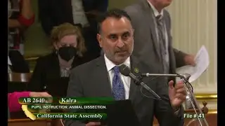 Social Compassion in Legislation