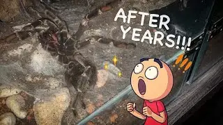 Can&rsquo;t believe I finally witnessed it !!!