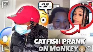 I Catfish Coi Leray on monkey app  *They Believed it *