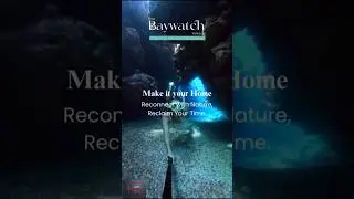 Discover 