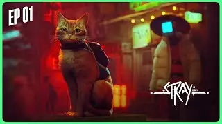 Finding Momo | Stray | Let's Play #01