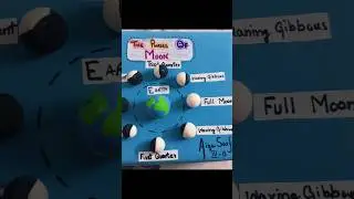 Phases of Moon | Science Project #scienceproject #schoolproject #fun #leraning