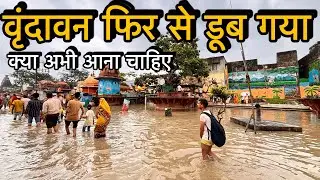 Vrindavan flood news today | Vrindavan flood situation | Vrindavan Yamuna flood