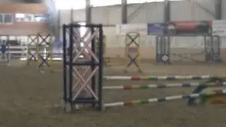 Prince - BRC area 5 show jumping qualifier