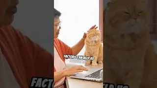 Five factors that influence the lifespan of cats.