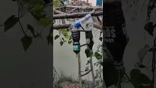 Modern Gardening