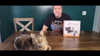 KittySpout Cat Water Fountain Product Review Experience With Our Cats