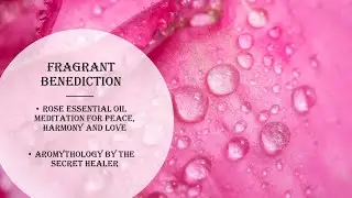 Rose Essential Oil Benediction of The Divine Feminine - Meditation for Peace, Harmony and Love