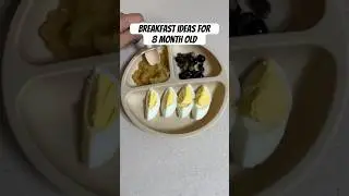 Breakfast idea for an 8 month old 🤩 #babybreakfast #momlife #girlmom #babygirl #breakfast #babyfood
