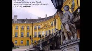 Franz Joseph Haydn : Destatevi o miei fidi