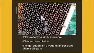 Varroa Resistant Virus Resistant