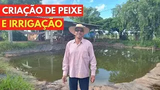 Tanque Escavado, Revestido Com Lona de BAIXO Custo Muito Fácil de Fazer.